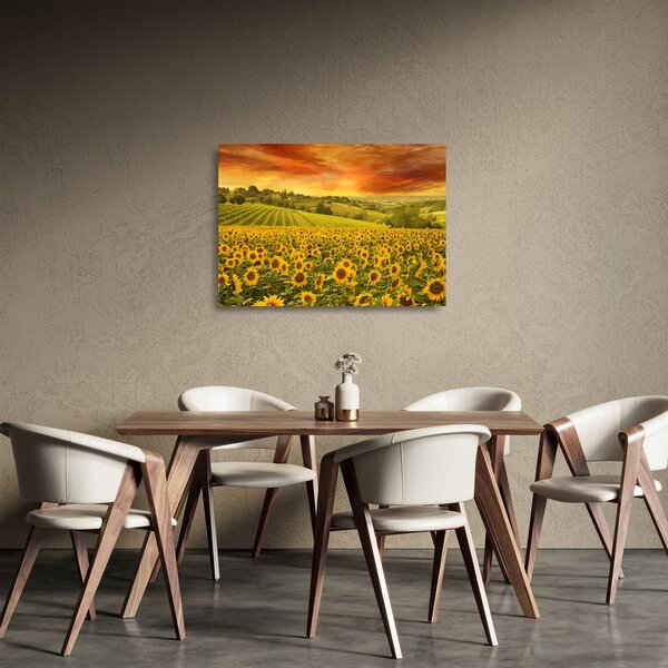 Staklena slika - Polje suncokreta (70x50 cm)