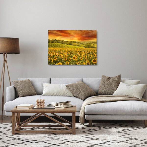 Staklena slika - Polje suncokreta (70x50 cm)