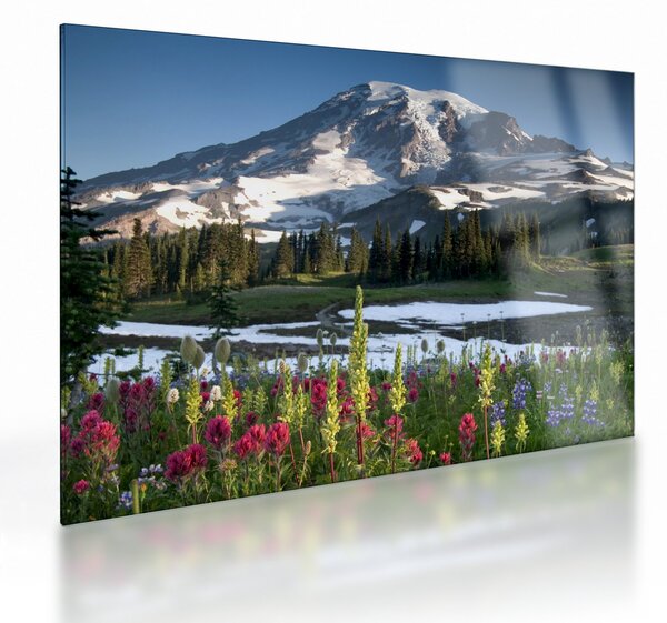 Staklena slika - Mount Rainier (70x50 cm)