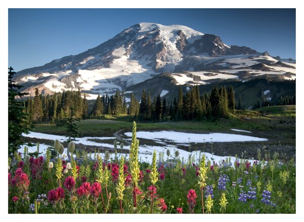 Staklena slika - Mount Rainier (70x50 cm)