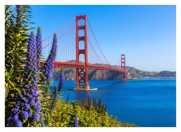 Staklena slika - Most Golden Gate, San Francisco (70x50 cm)