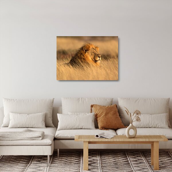 Staklena slika - Nacionalni park Etosha (70x50 cm)