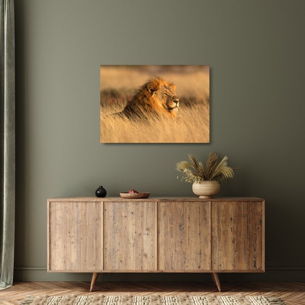 Staklena slika - Nacionalni park Etosha (70x50 cm)