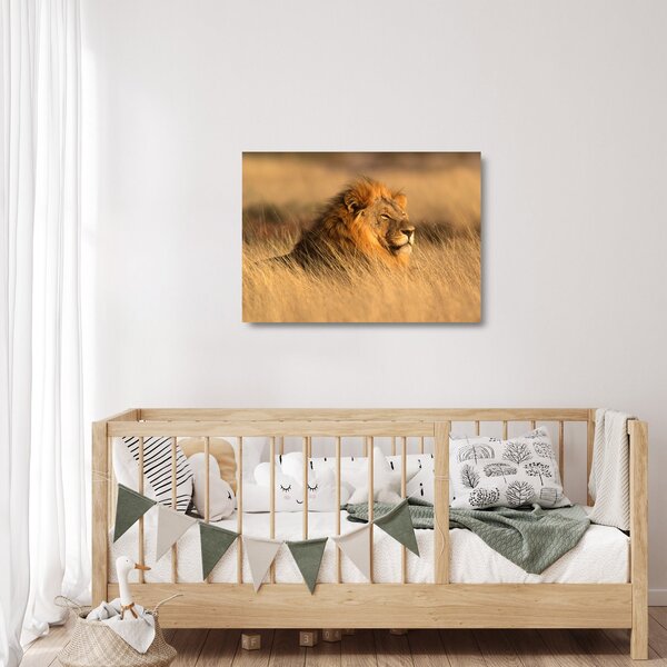 Staklena slika - Nacionalni park Etosha (70x50 cm)