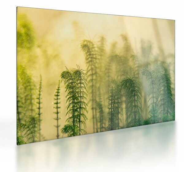 Staklena slika - Detalj proljetne maglovite prirode (70x50 cm)