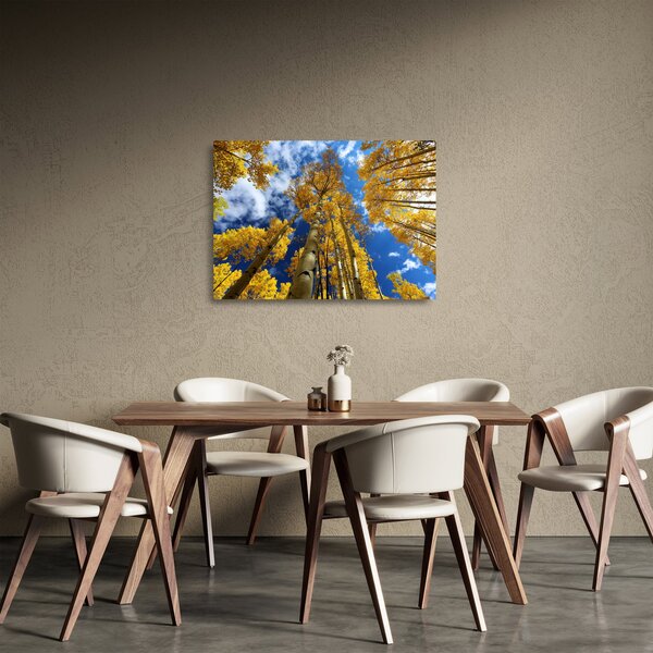 Staklena slika - Aspen (70x50 cm)