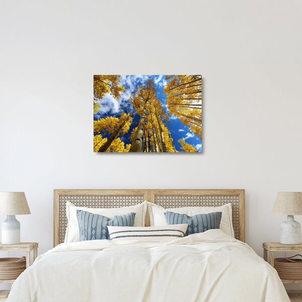 Staklena slika - Aspen (70x50 cm)