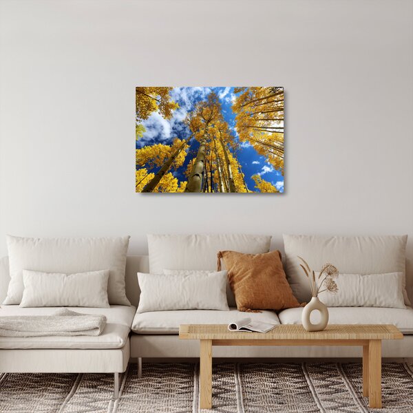 Staklena slika - Aspen (70x50 cm)