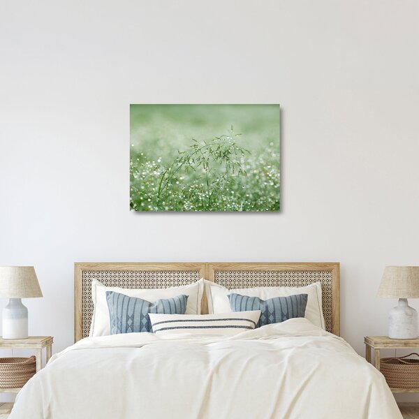 Staklena slika - Jutarnja rosa na vlatima trave (70x50 cm)