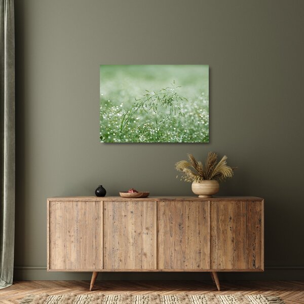 Staklena slika - Jutarnja rosa na vlatima trave (70x50 cm)