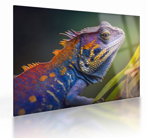 Staklena slika - Obojena iguana (70x50 cm)