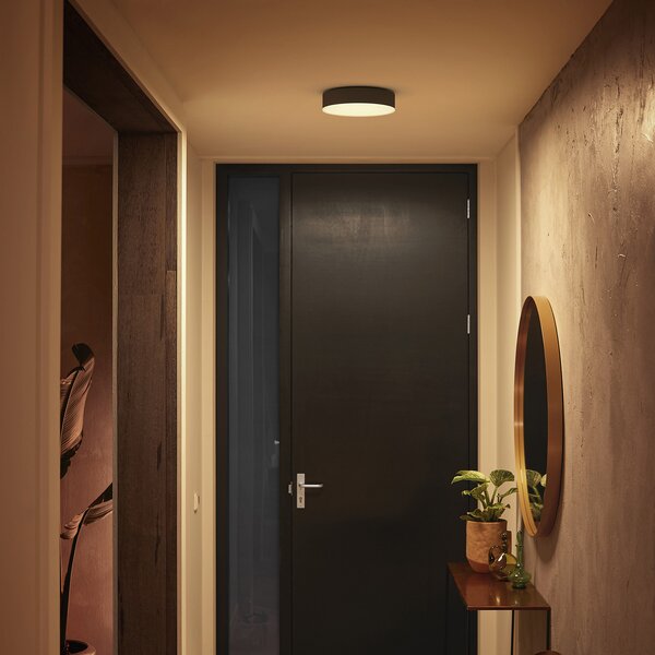 Stropne Svjetiljka Philips Hue, Philips Hue, prigušiv, Crno, Dnevna soba, Metal, Moderan