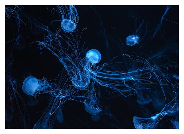 Staklena slika - Meduza (70x50 cm)