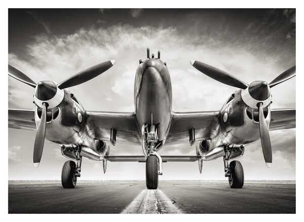 Staklena slika - Warbird (70x50 cm)