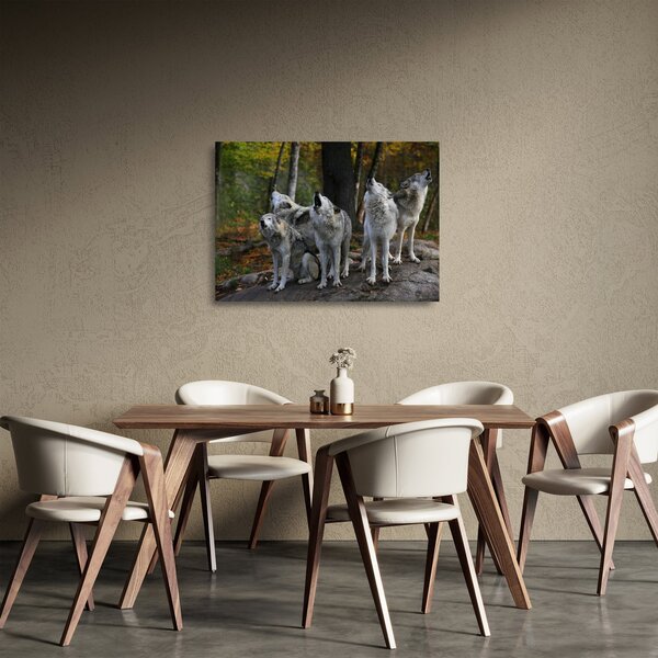 Staklena slika - Vukovi na stijeni (70x50 cm)