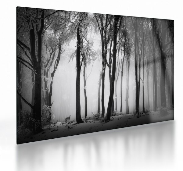 Staklena slika - Vuk u mračnoj šumi (70x50 cm)