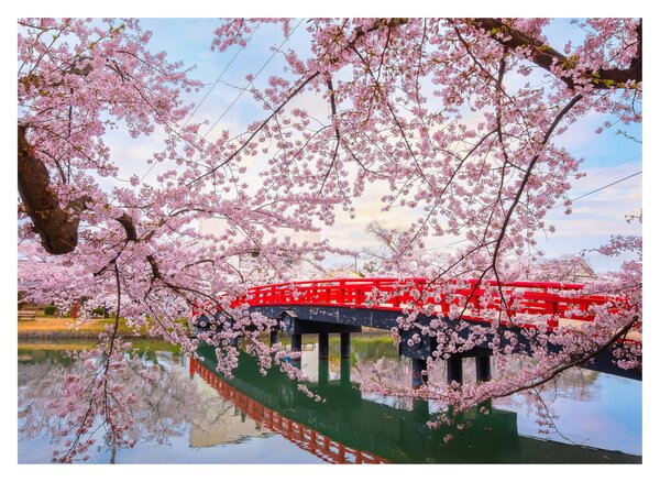 Staklena slika - Hirosaki, Japan (70x50 cm)