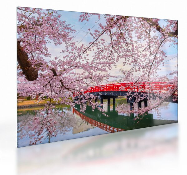 Staklena slika - Hirosaki, Japan (70x50 cm)