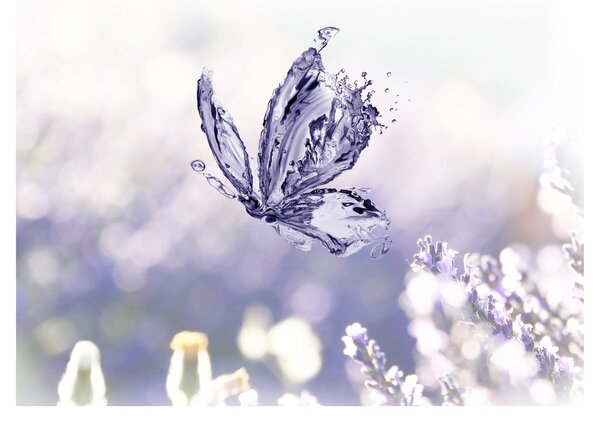 Staklena slika - Leptir i lavanda (70x50 cm)