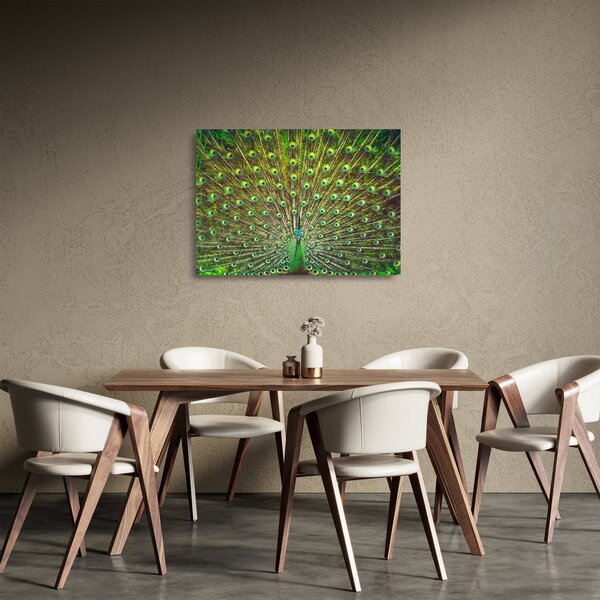 Staklena slika - Paun (70x50 cm)