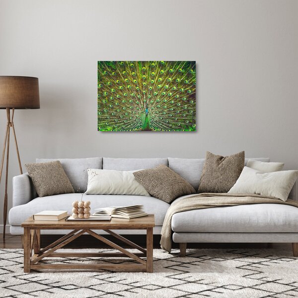 Staklena slika - Paun (70x50 cm)