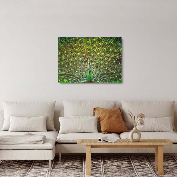 Staklena slika - Paun (70x50 cm)