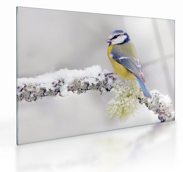 Staklena slika - Plava sjenica u šumi (70x50 cm)