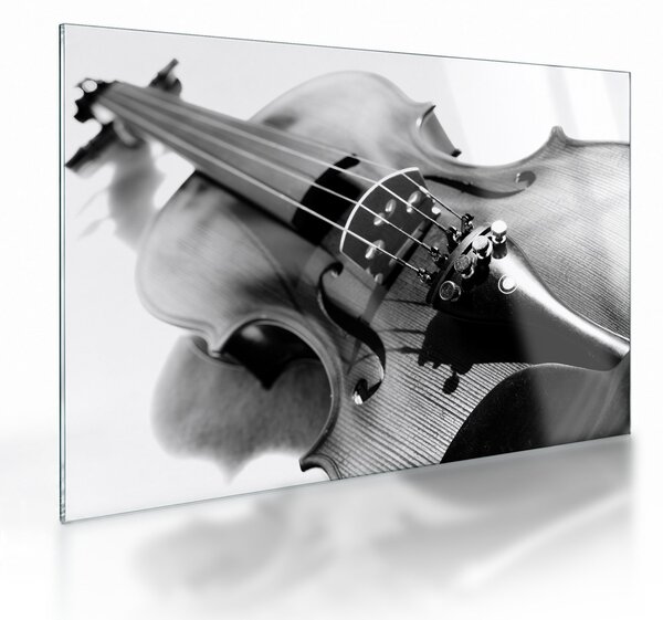 Staklena slika - Violina (70x50 cm)