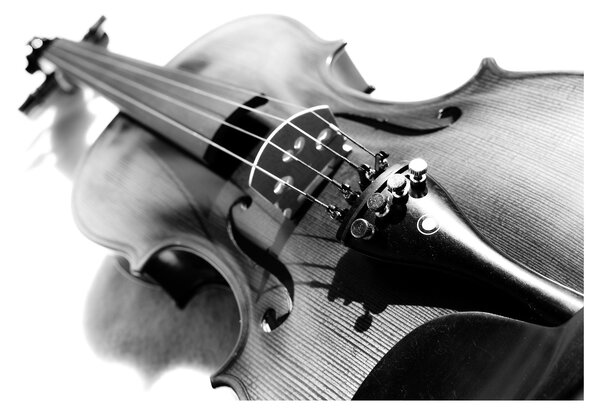 Staklena slika - Violina (70x50 cm)