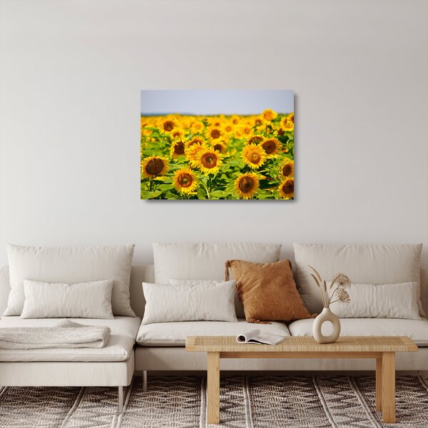 Staklena slika - Suncokreti (70x50 cm)