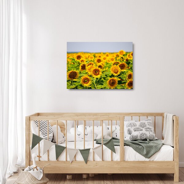 Staklena slika - Suncokreti (70x50 cm)