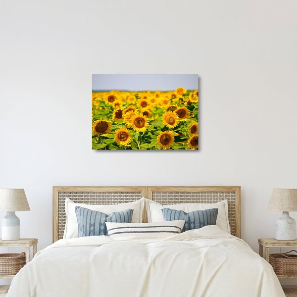 Staklena slika - Suncokreti (70x50 cm)