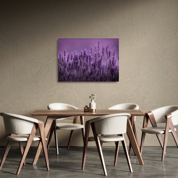 Staklena slika - Lavanda (70x50 cm)