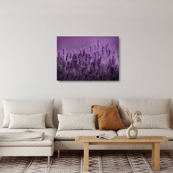 Staklena slika - Lavanda (70x50 cm)