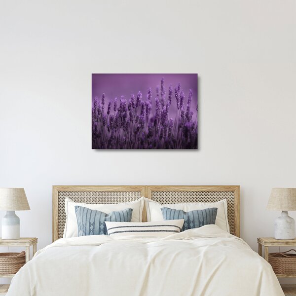 Staklena slika - Lavanda (70x50 cm)