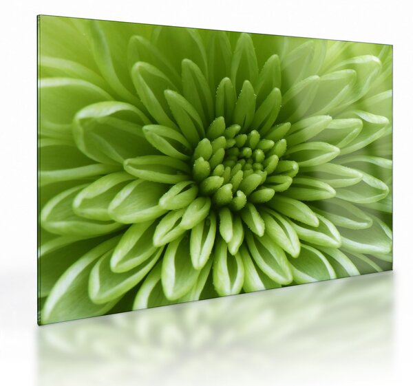 Staklena slika - Makro slika biljke (70x50 cm)