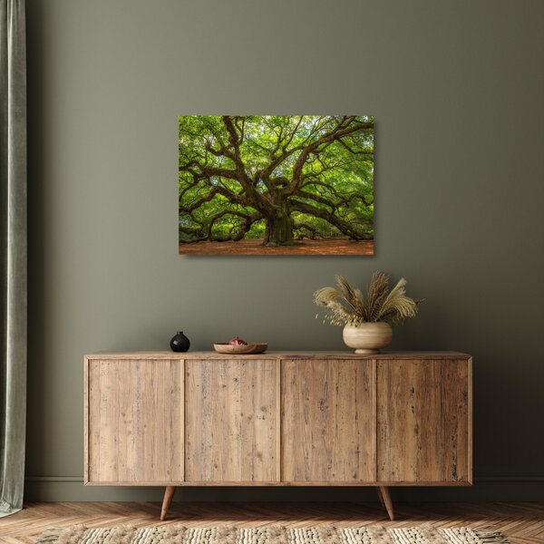 Staklena slika - Zeleno stablo (70x50 cm)