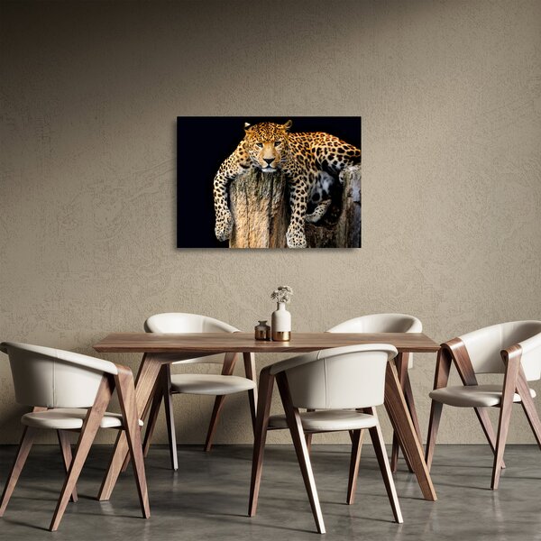 Staklena slika - gepard (70x50 cm)