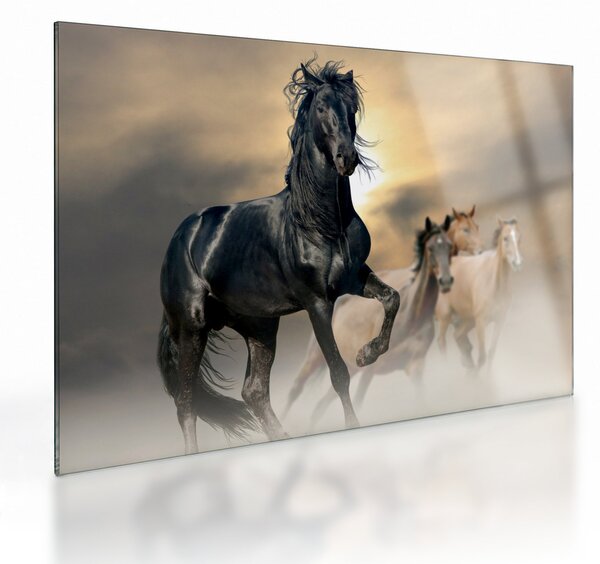 Staklena slika - Konji (70x50 cm)