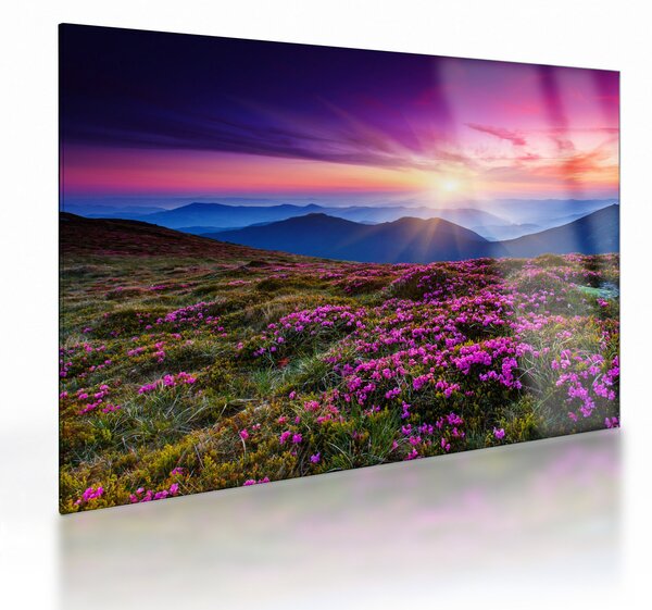 Staklena slika - Planinski cvjetni krajolik (70x50 cm)
