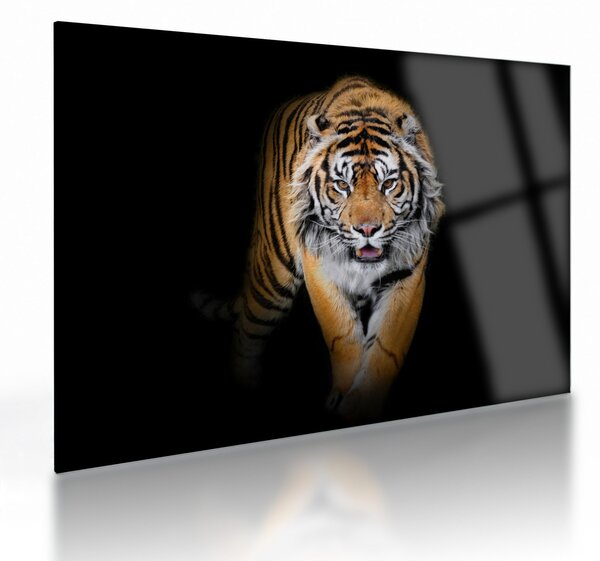 Staklena slika - Tigar (70x50 cm)