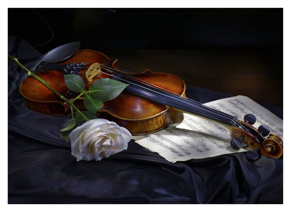 Staklena slika - Ruže i violina (70x50 cm)