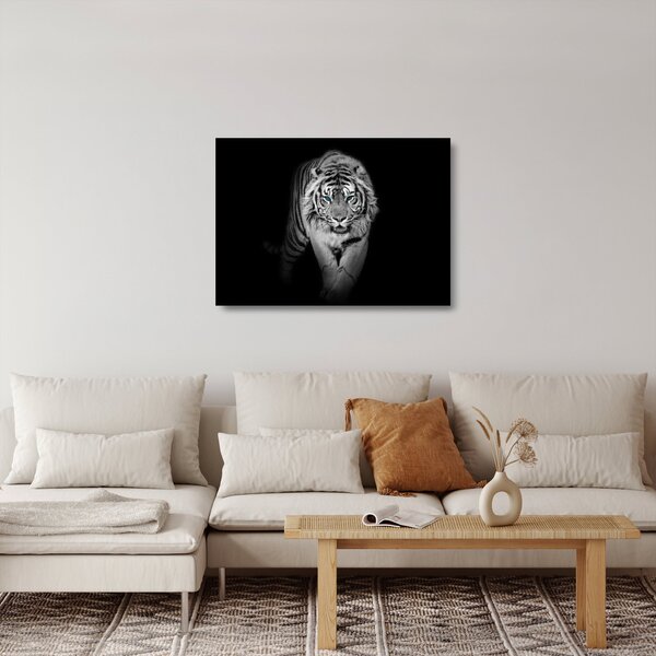 Staklena slika - Tigar s plavim očima (70x50 cm)