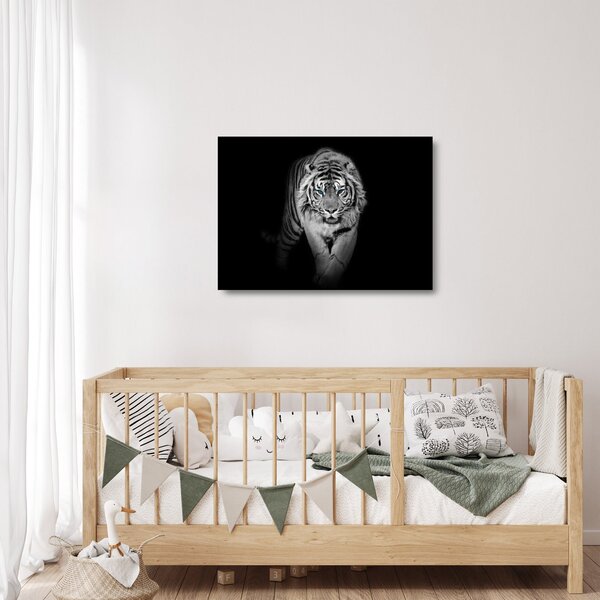 Staklena slika - Tigar s plavim očima (70x50 cm)
