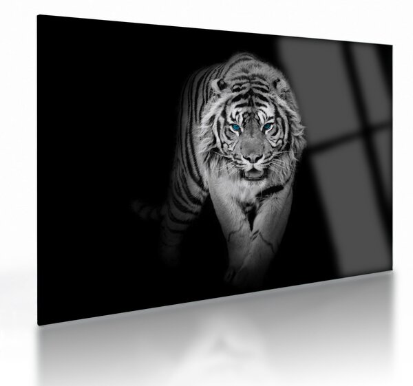 Staklena slika - Tigar s plavim očima (70x50 cm)