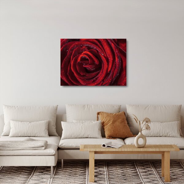 Staklena slika - Crvena ruža s kapljicama rose (70x50 cm)