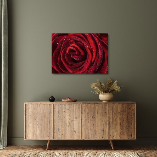 Staklena slika - Crvena ruža s kapljicama rose (70x50 cm)