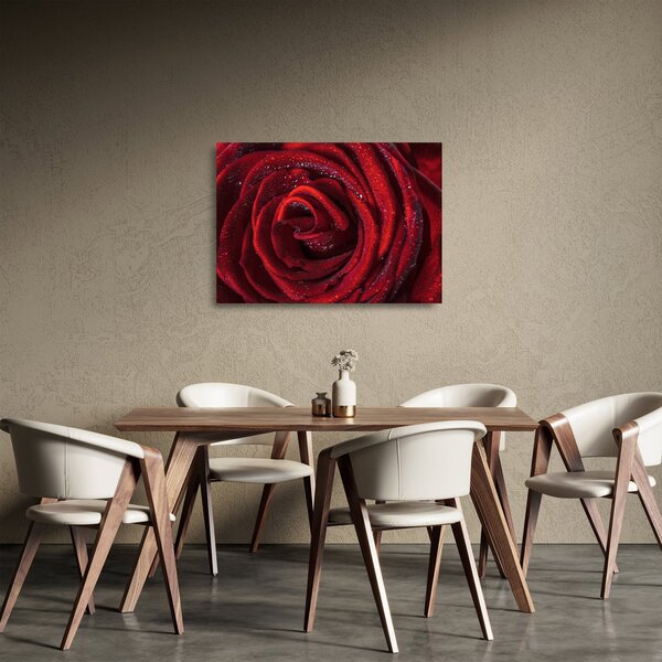 Staklena slika - Crvena ruža s kapljicama rose (70x50 cm)
