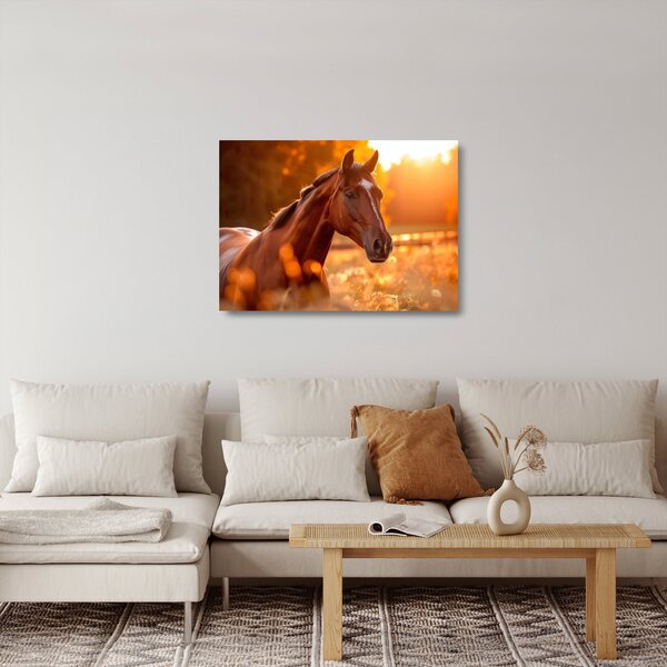 Staklena slika - Konj u zalasku sunca (70x50 cm)