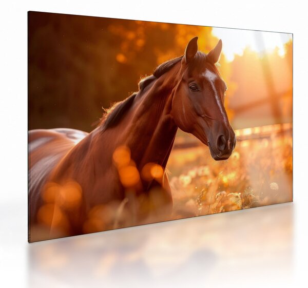 Staklena slika - Konj u zalasku sunca (70x50 cm)